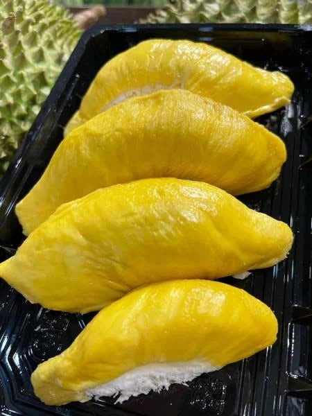 Sầu riêng Ri 6 tách sẵn