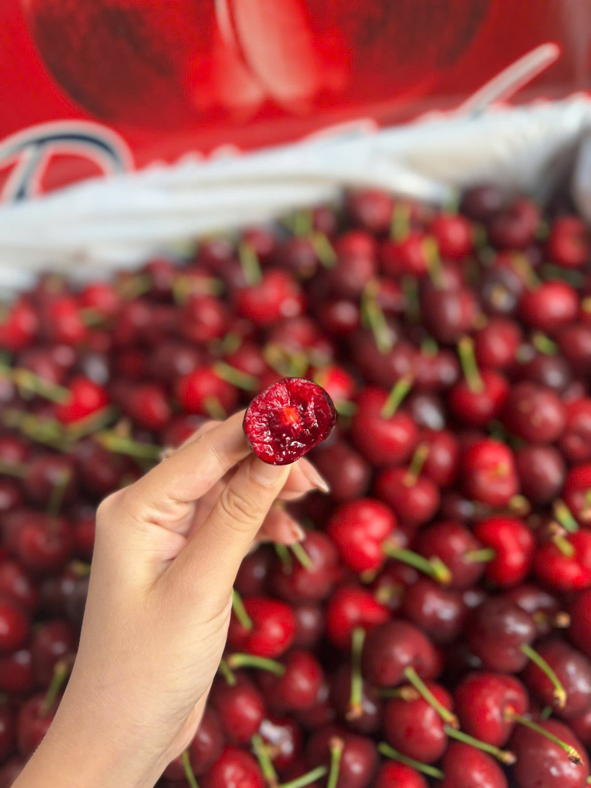 Cherry Chelan Mỹ 9.5